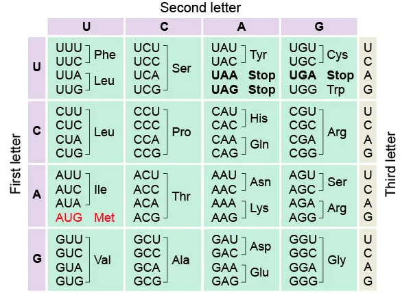 Genetic code