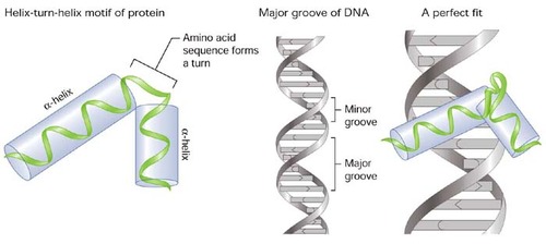 diagram2