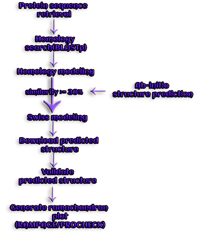 homology modeling steps