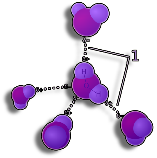 H bonds in water