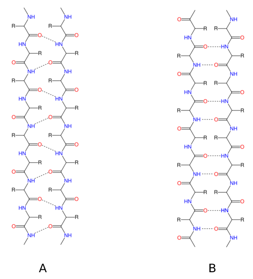 parallel and anti parallel