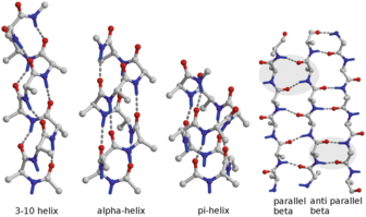 types of helixes